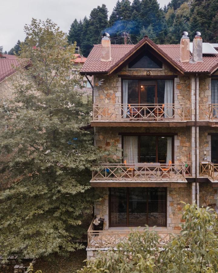 Parnassus Dreamwood Chalet Eptalofos Bagian luar foto