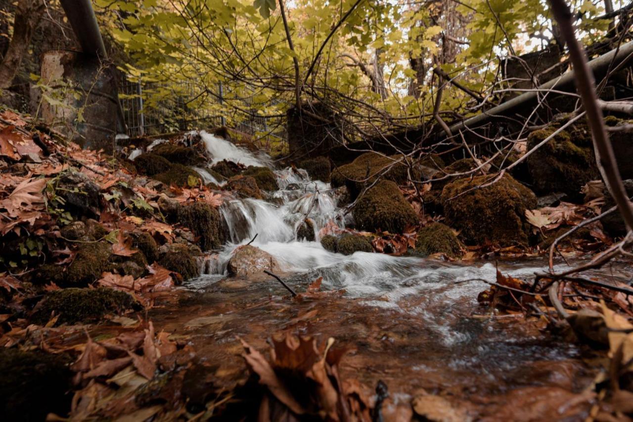 Parnassus Dreamwood Chalet Eptalofos Bagian luar foto
