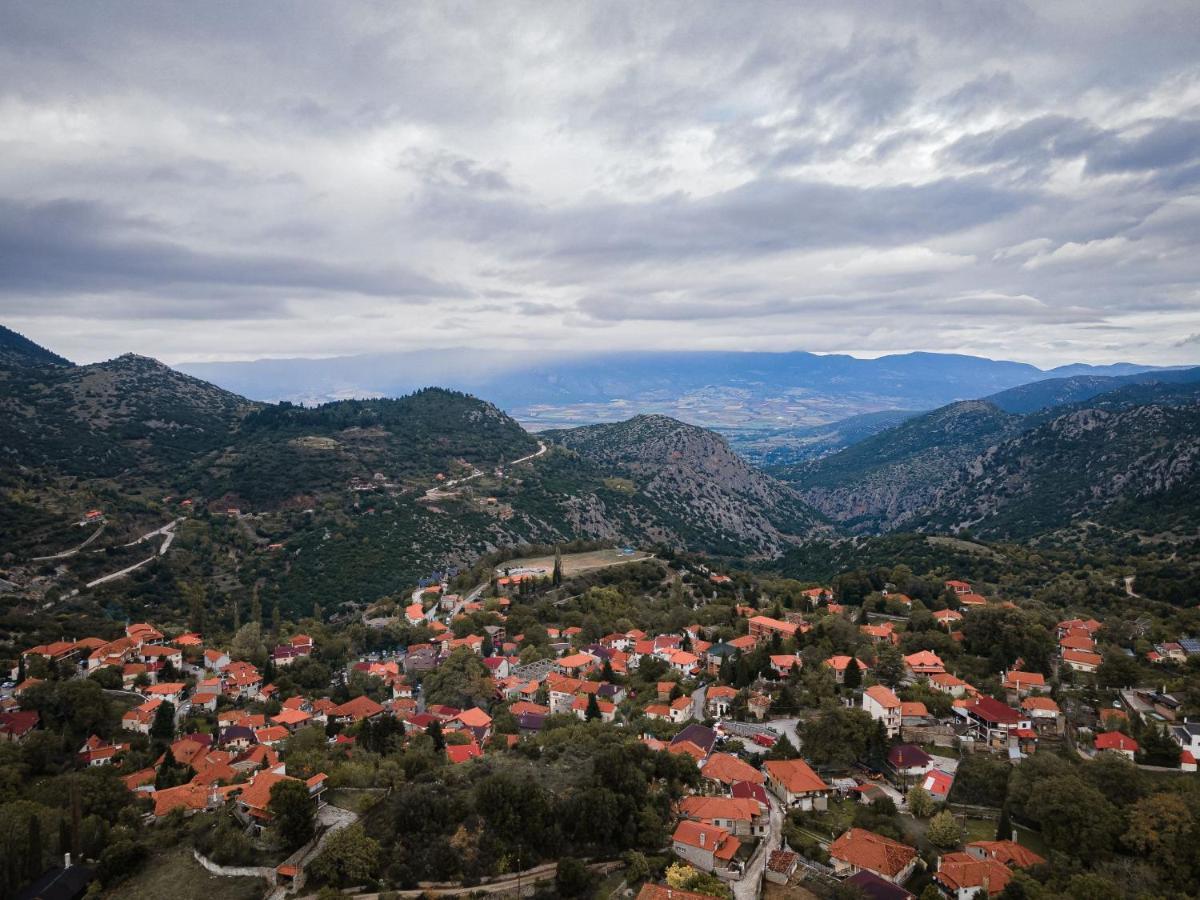 Parnassus Dreamwood Chalet Eptalofos Bagian luar foto