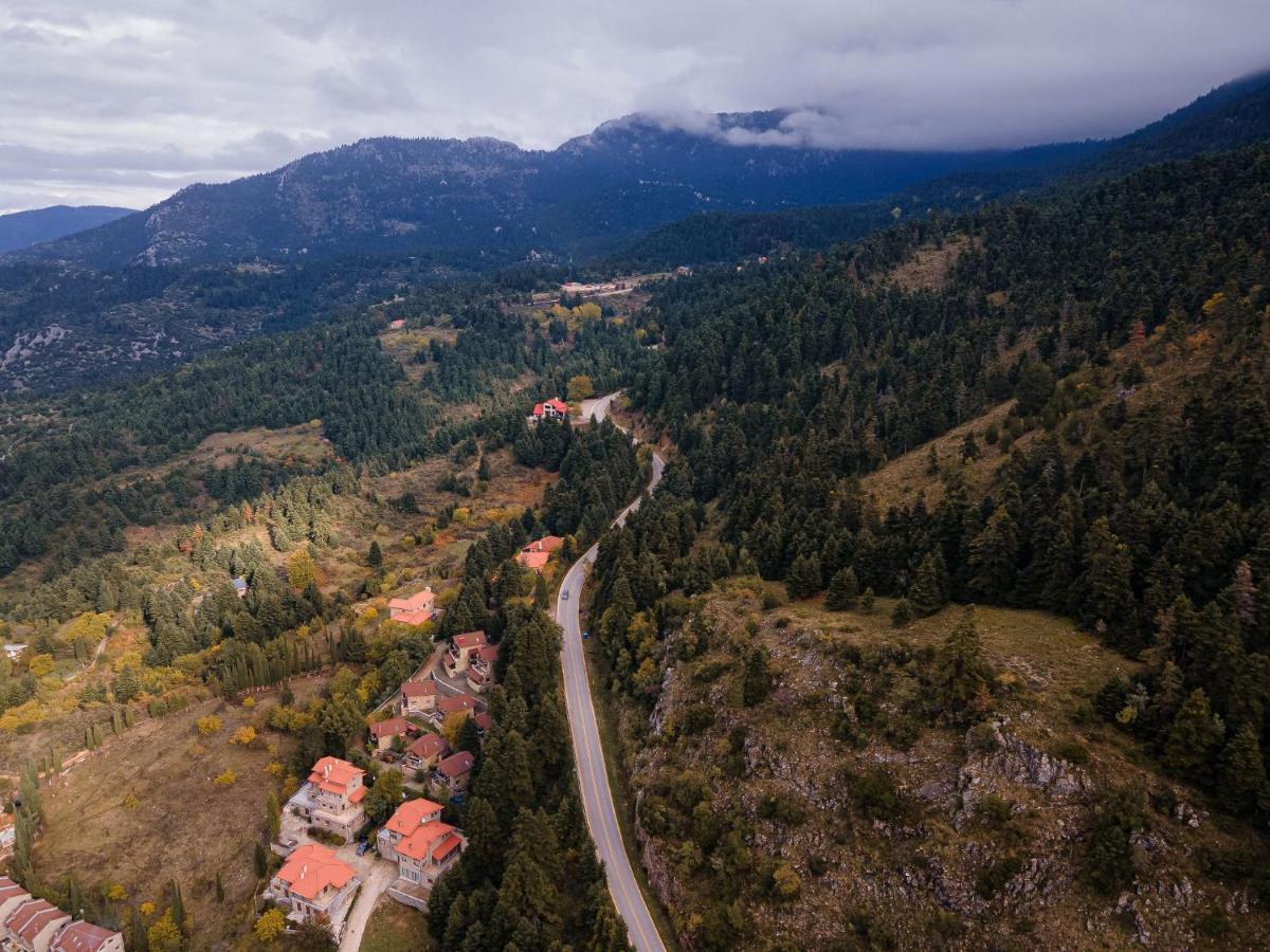 Parnassus Dreamwood Chalet Eptalofos Bagian luar foto
